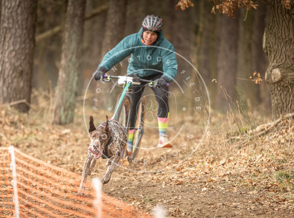 Pfotenfotografie_DV3A3917 | Hundefotografie, Tierfotograf, Pfotenfotografie, Fotoshooting Hund, Hunde Portrait, Hundesport, Hundeportraits, Heideshooting, Hunde, Sportfotograf, Hundefotograf, Turnierhundsport, THS,  - Realisiert mit Pictrs.com