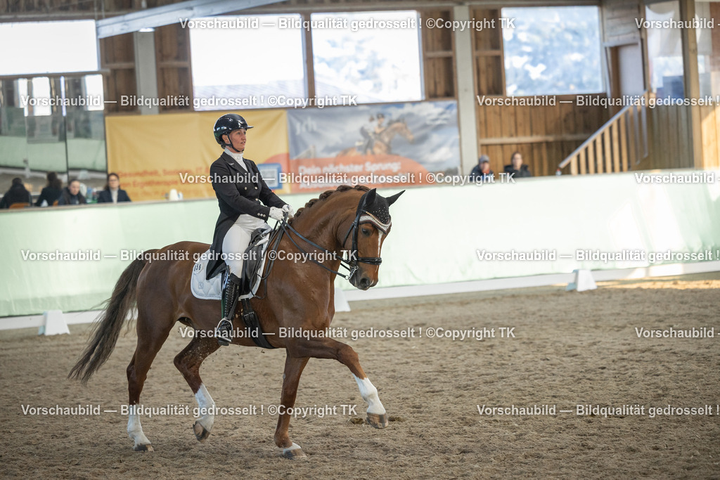 _D5A0830 | Emotionale Pferde- & People-Fotografie rund um Heidelberg, Leimen & Umgebung. Natürliche Fotos von Pferd, Mensch & Familie. Jetzt Termin sichern!