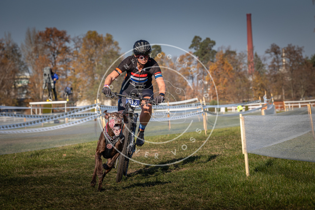 CaniXpix_0L8A6464 | Hundefotografie, Tierfotograf, Pfotenfotografie, Fotoshooting Hund, Hunde Portrait, Hundesport, Hundeportraits, Heideshooting, Hunde, Sportfotograf, Hundefotograf, Turnierhundsport, THS,  - Realisiert mit Pictrs.com
