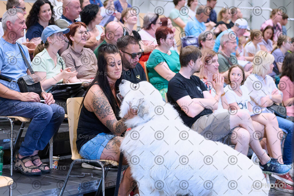 202406_ÖKV-IHA-Tulln24_DSC_3505 | proPHOTO - Realisiert mit Pictrs.com