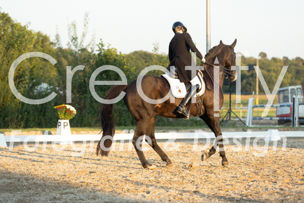 IMG_7552 | Creatify Fotografie