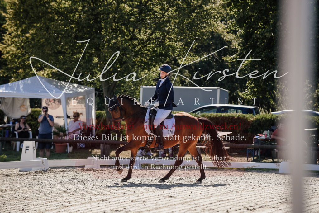 DSC_0275 | Pferde- und Turnierfotografie in Westsachsen. Pferdeportraits, Auftragszeichnungen und intuitive Kunst.