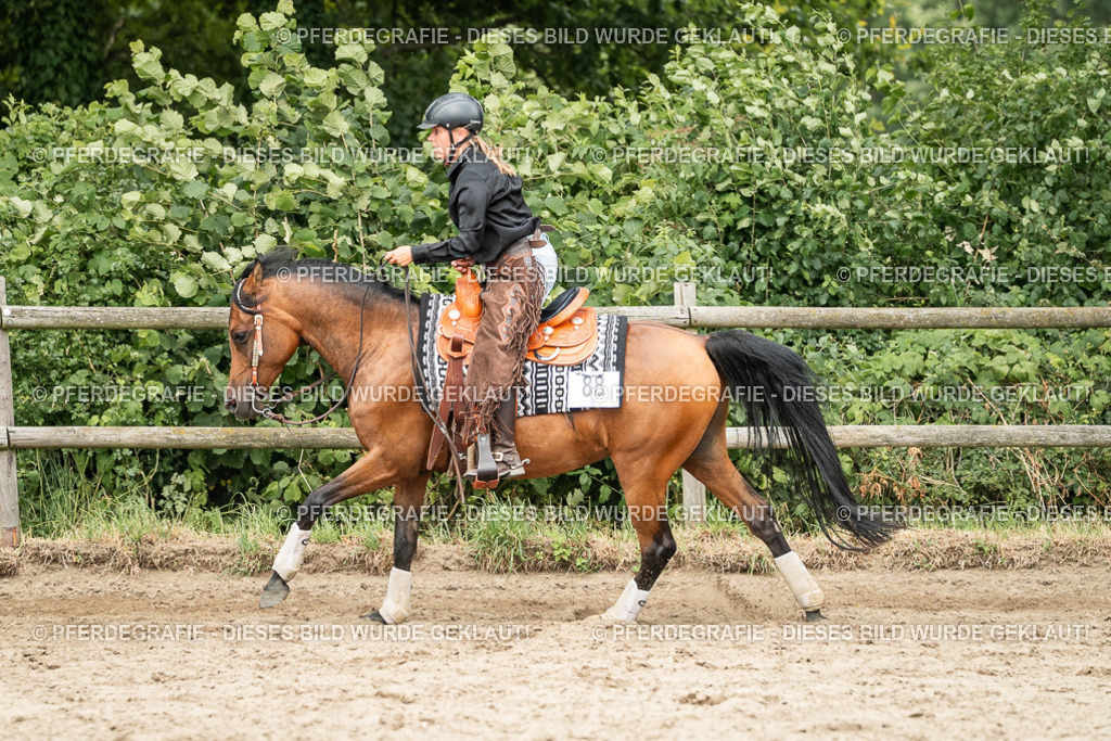 DSC04293 | Pferdegrafie