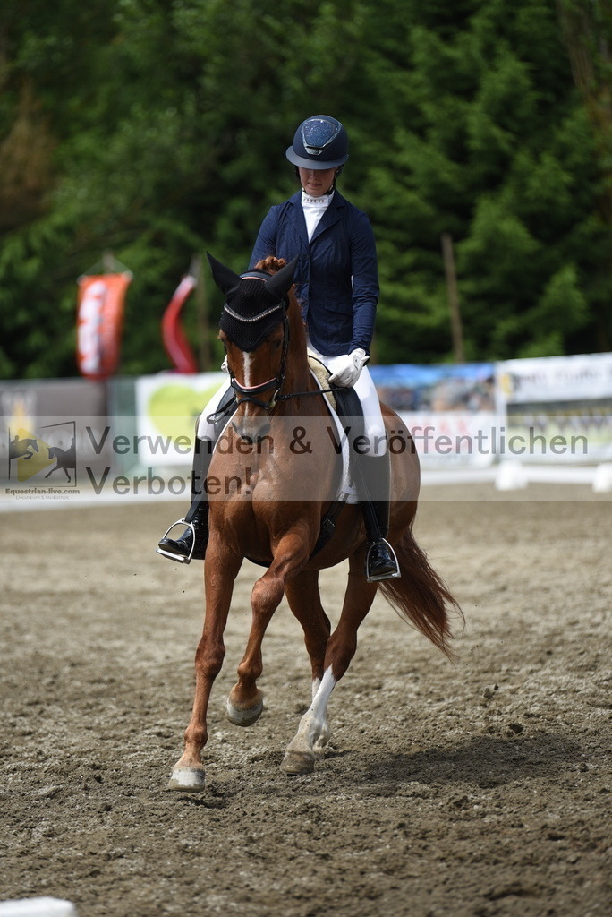 DSC_1018 | equestrian-live-com