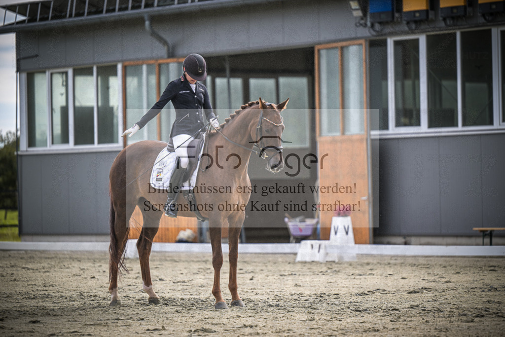 DOS_1965 | Entdecke hochwertige Reitturnierfotos von Foto Oger. Professionell, emotional und authentisch – jetzt Lieblingsmomente im Shop bestellen.Deutschlandweite Turnierfotografie. - Realisiert mit Pictrs.com
