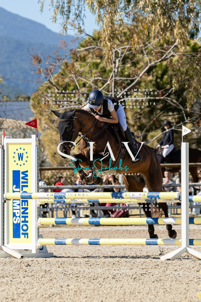 IMG_0493 | s-jay-photography - Realisiert mit Pictrs.com