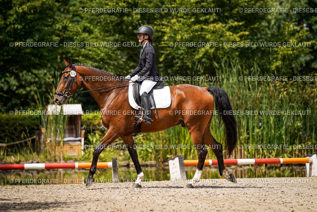 DSC02897 | Pferdegrafie