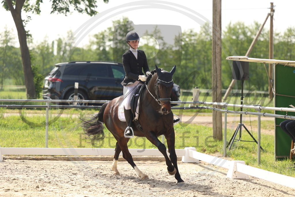 994A6599 | sabrinanicolaifotografie - Realisiert mit Pictrs.com