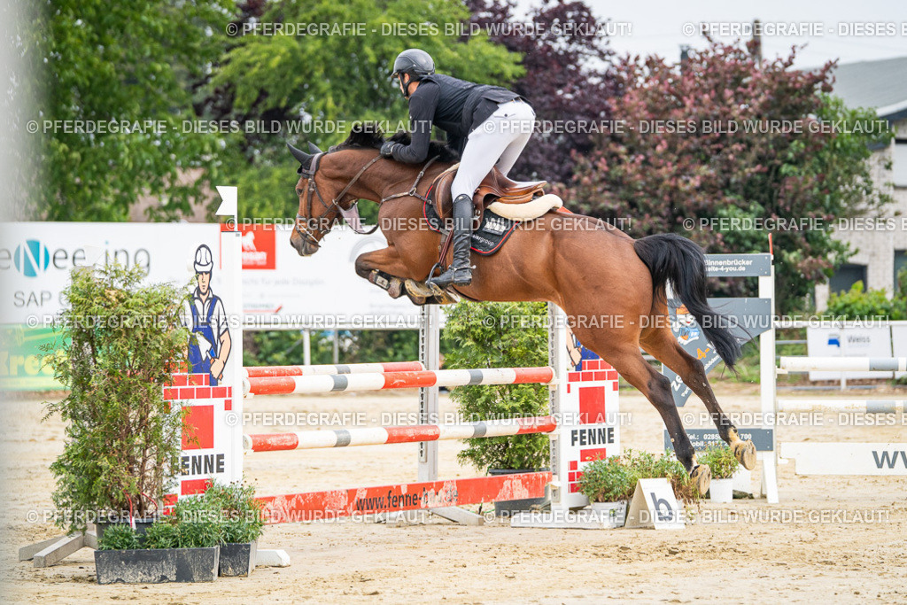 DSC09443 | Pferdegrafie