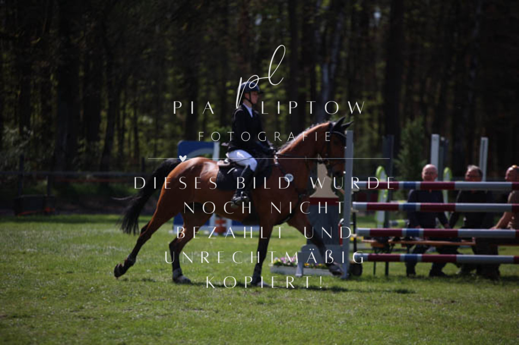 IMGT5500 | pl-fotografie