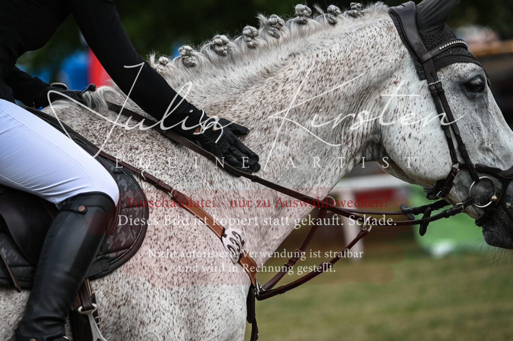 DSC_8356 | Pferde- und Turnierfotografie in Westsachsen. Pferdeportraits, Auftragszeichnungen und intuitive Kunst.