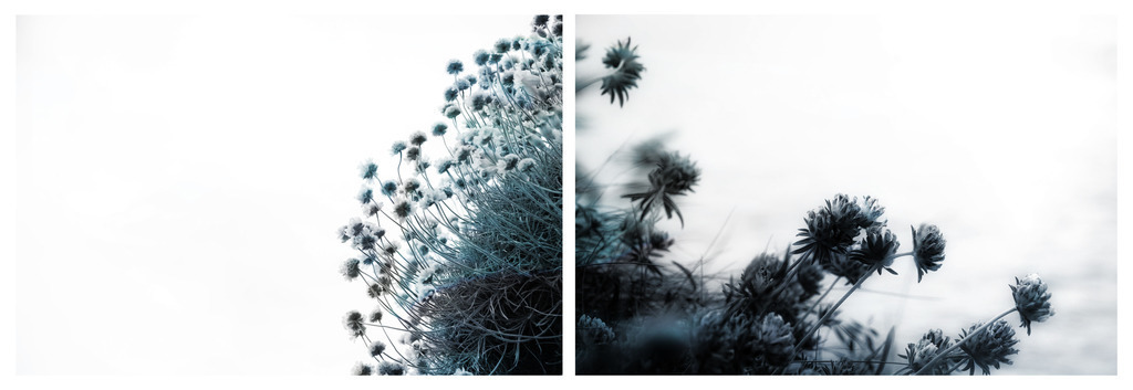 andante | Stimmungsvolle Fotografien von Dorit Fuhg. Kaufen Sie bequem hochwertige Fine-Art Drucke, Wandbilder und Kalender hier im Online-Shop. - Realisiert mit Pictrs.com