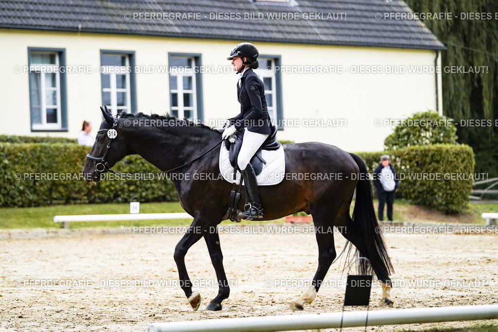 DSC07777 | Pferdegrafie