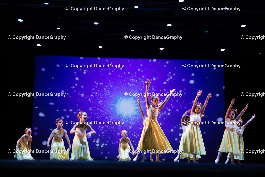 GPHY4738 | DanceGraphy - Realisiert mit Pictrs.com