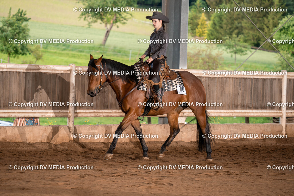 Erbach Tag 1-1056 | dv-media-shop - Realisiert mit Pictrs.com