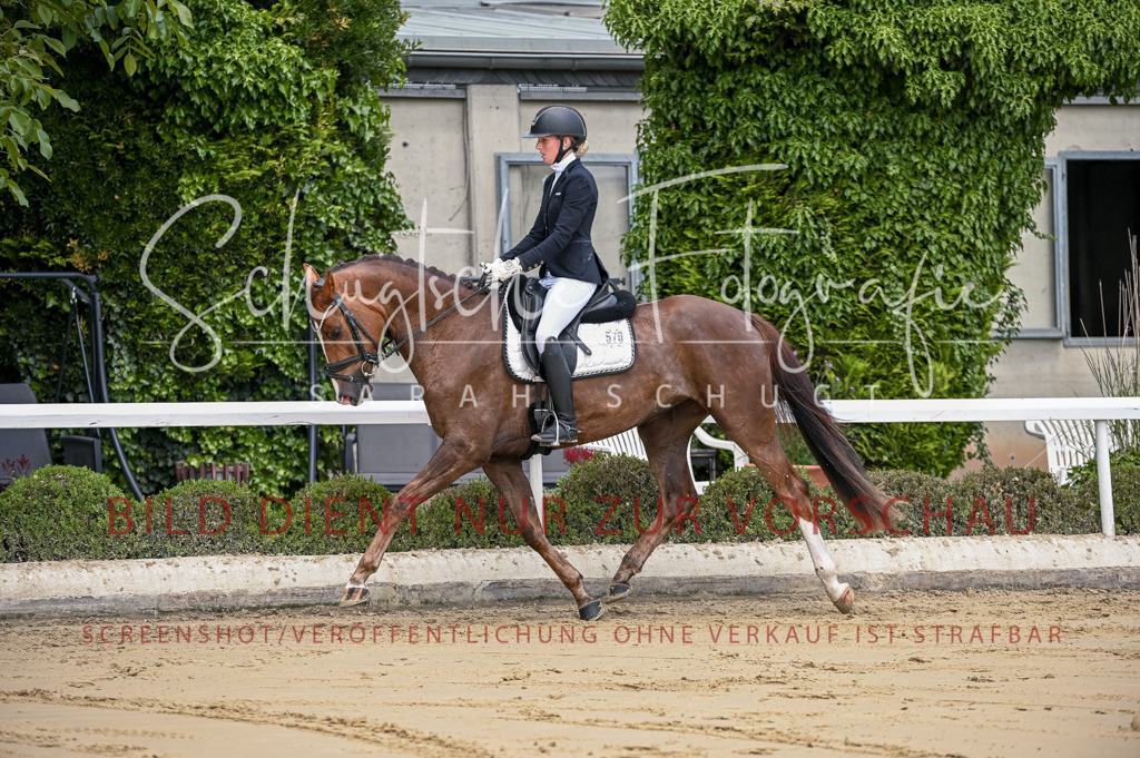 Schugtsche-Aluta25-48.Reitpferfdeprf.-94 | Schugtsche Fotografie - Realisiert mit Pictrs.com