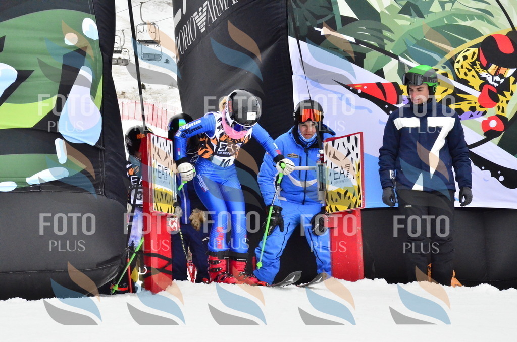 _ELE4031 | holidayphoto