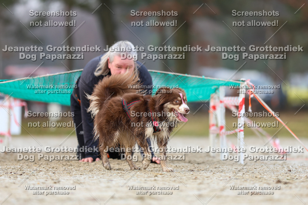 Dog Paparazzi - Strongdog North Mrz26-3760 | Dog Paparazzi Jeanette Grottendiek Fotografie & Videografie - Realisiert mit Pictrs.com