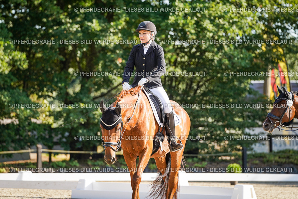 DSC09138 | Pferdegrafie