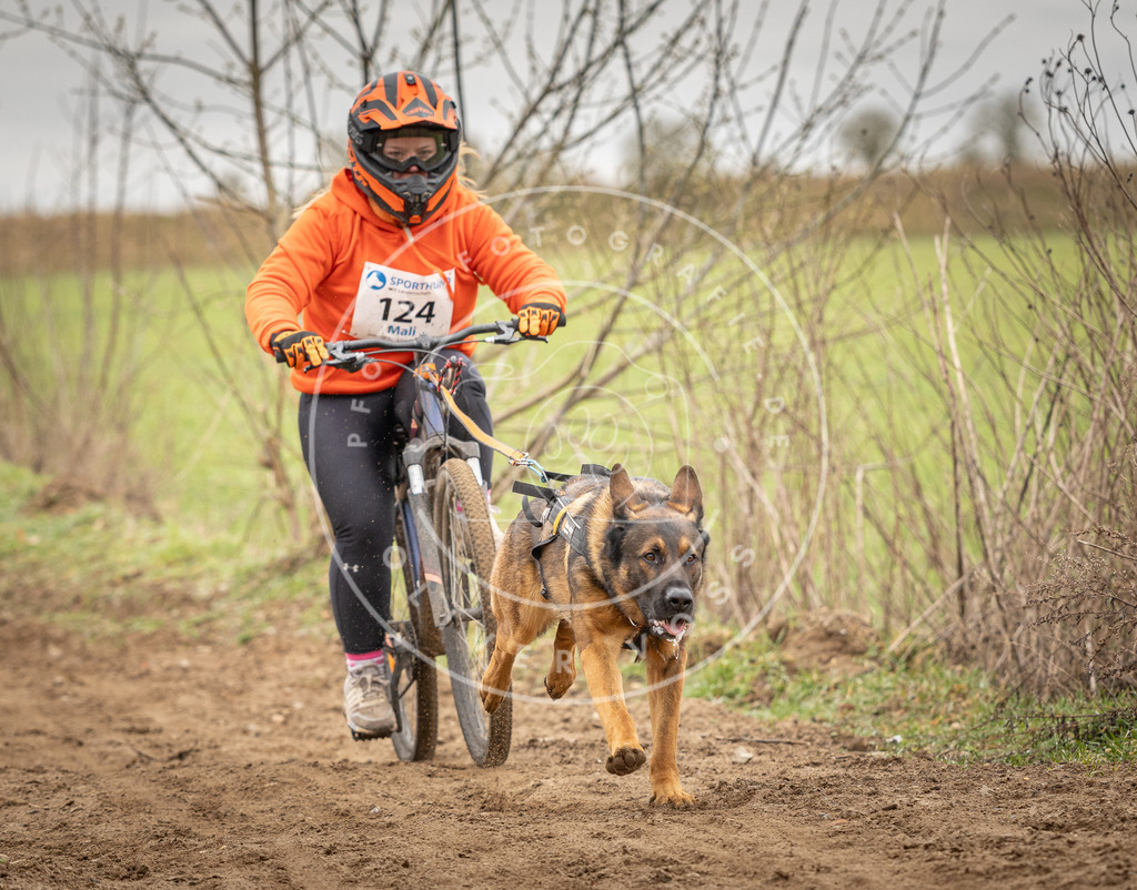 DV3A1048 | Hundefotografie, Tierfotograf, Pfotenfotografie, Fotoshooting Hund, Hunde Portrait, Hundesport, Hundeportraits, Heideshooting, Hunde, Sportfotograf, Hundefotograf, Turnierhundsport, THS,  - Realisiert mit Pictrs.com