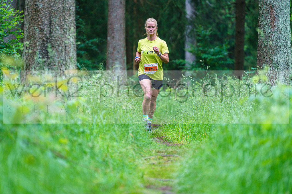 Rennsteig-Staffellauf | 24. Staffellauf - 22.06.2024 von Hörschel nach Blankenstein