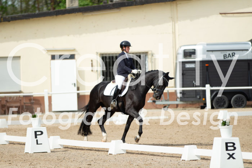 IMG_1748 | Creatify Fotografie