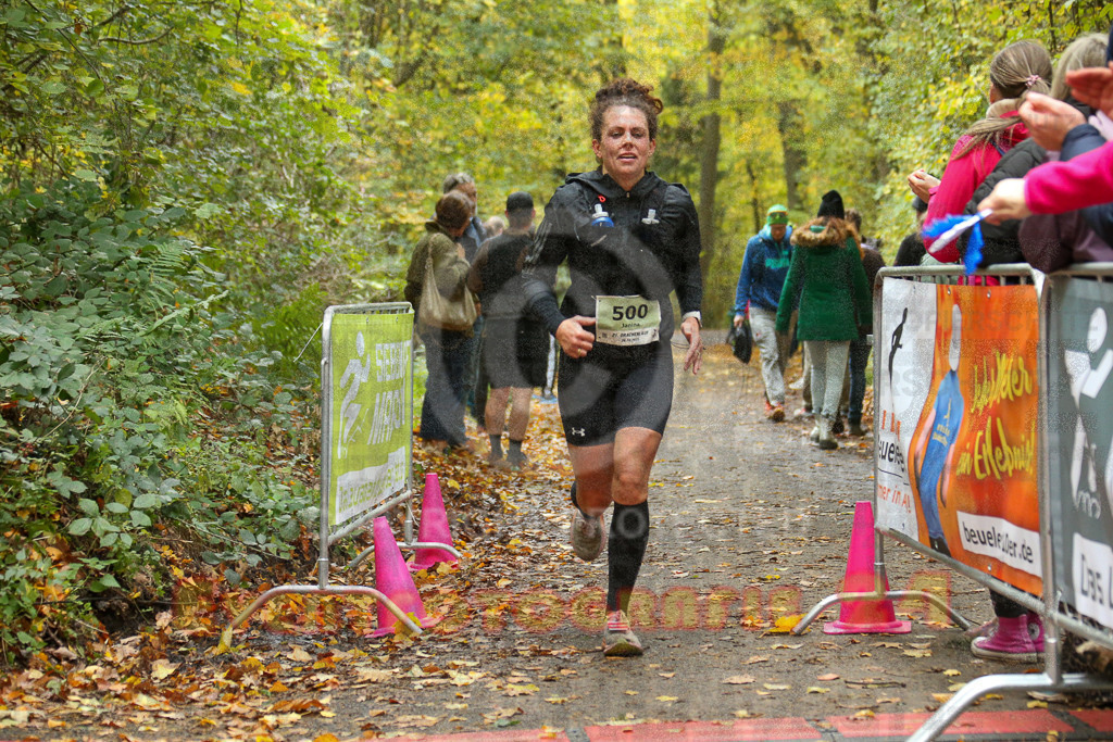 251026_1305_EX1_2439 | Sportfotografie im Rhein-Sieg Kreis, Köln, Bonn, NRW, Rheinland Pfalz, Hessen, etc. Unser Tätigkeitsfeld umfasst den Laufsport vom Volkslauf über den Marathon, Duathlon, Triathon bis zum Ultralauf wie Kölnpfad Ultra oder Schindertrail.