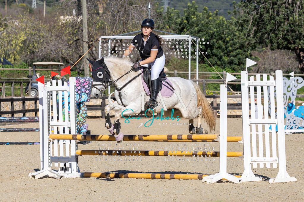 IMG_2090 | s-jay-photography - Realisiert mit Pictrs.com