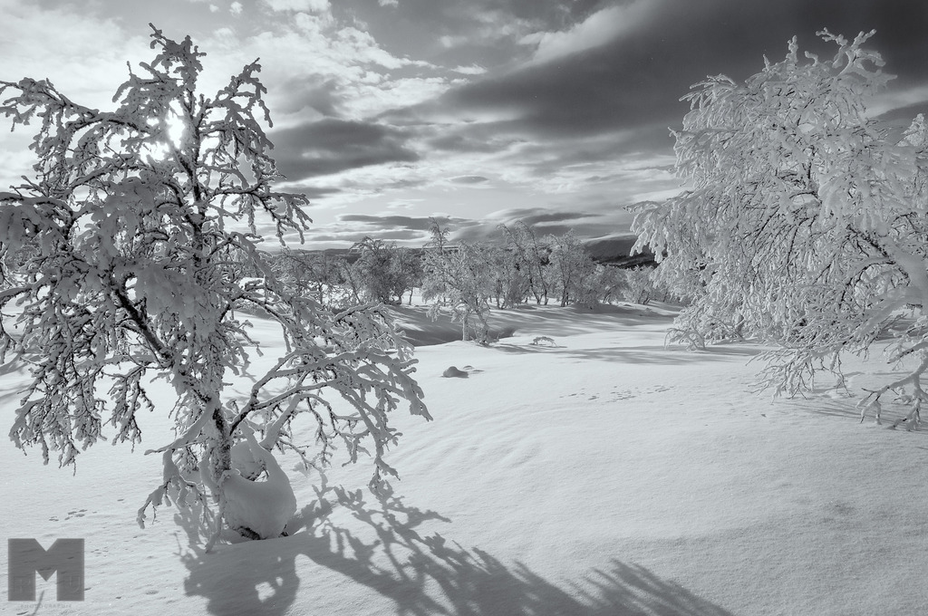 Frischer Schnee | Landschafts- und Tierfotografie zu allen Jahreszeiten. Und immer die Schönheit des Lichtes im Auge... - Realisiert mit Pictrs.com