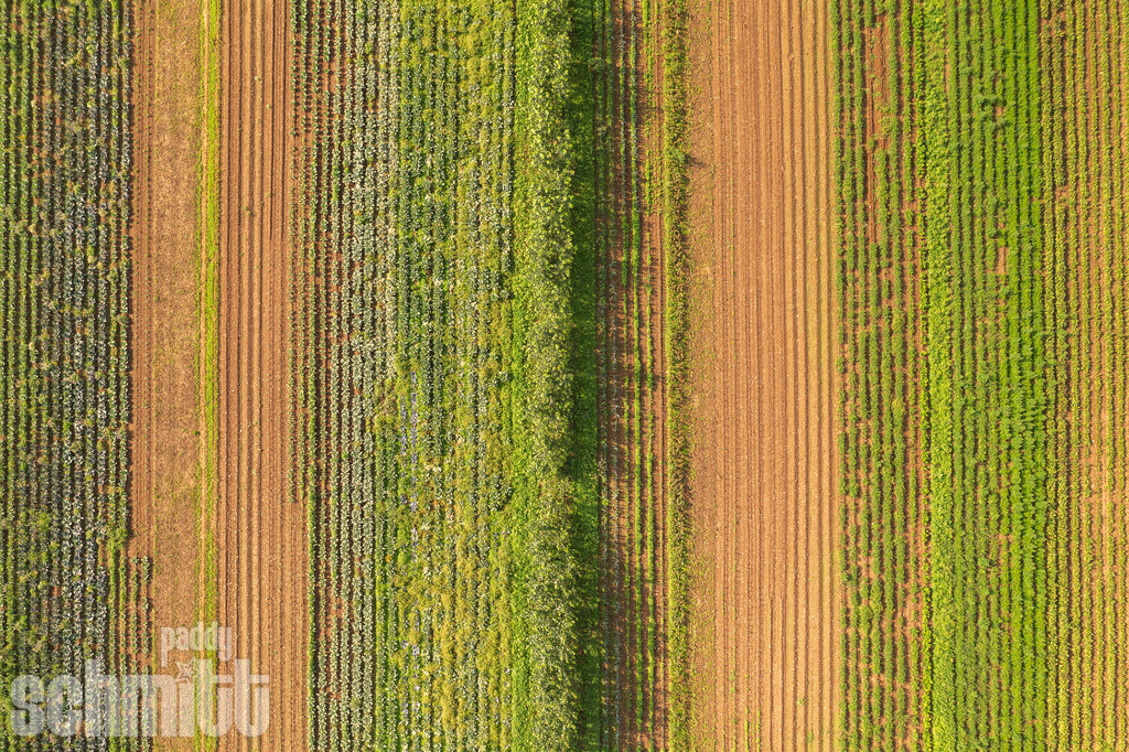PS-Aerials-2026-36 | Entdecke die größte Bildgalerie der Region mit Fotografien aus dem Allgäu, der Bodenseeregion, Oberschwaben, dem Donautal und der Schwäbischen Alb. Landschaften, Luftaufnahmen und Reisefotografie als Wandbild und Fotokunst. - Realisiert mit Pictrs.com