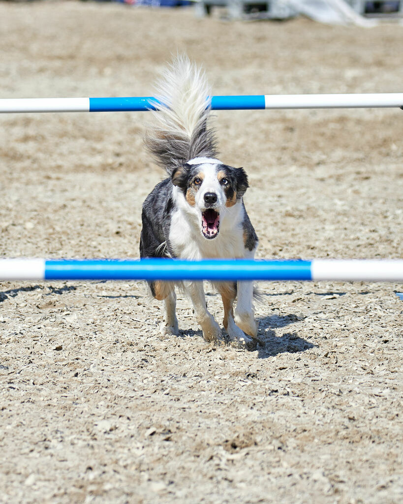 580A0195 | Peter Fridle Fotografie - Realisiert mit Pictrs.com