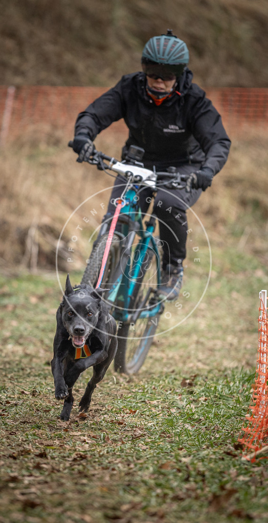 Pfotenfotografie_DV3A5603 | Hundefotografie, Tierfotograf, Pfotenfotografie, Fotoshooting Hund, Hunde Portrait, Hundesport, Hundeportraits, Heideshooting, Hunde, Sportfotograf, Hundefotograf, Turnierhundsport, THS,  - Realisiert mit Pictrs.com