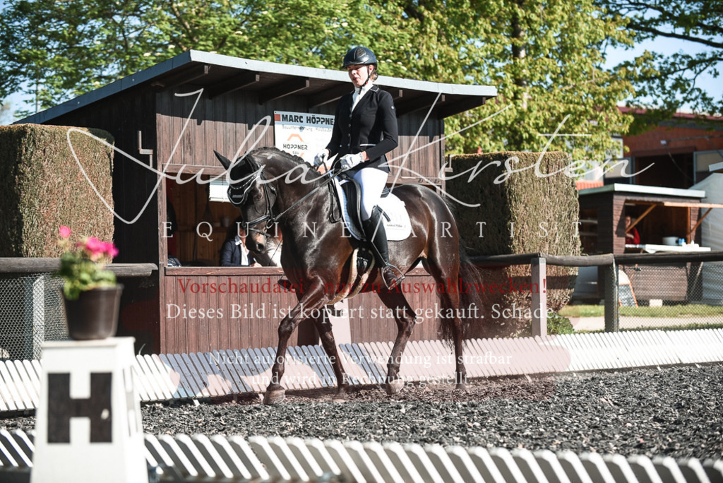 DSC_8384 | Pferde- und Turnierfotografie in Westsachsen. Pferdeportraits, Auftragszeichnungen und intuitive Kunst.