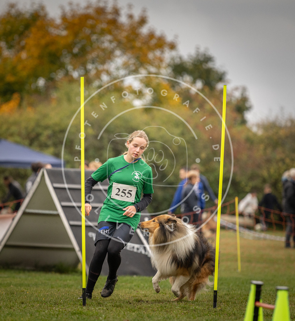 Pfotenfotografie_DV3A6616 | Hundefotografie, Tierfotograf, Pfotenfotografie, Fotoshooting Hund, Hunde Portrait, Hundesport, Hundeportraits, Heideshooting, Hunde, Sportfotograf, Hundefotograf, Turnierhundsport, THS,  - Realisiert mit Pictrs.com