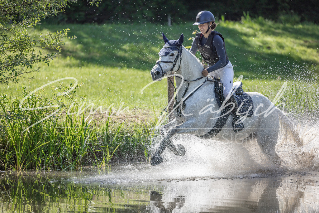 20260523-_3LI6666 | Tierfotografie Pferde, Hunde, Katzen, Haustiere.
Turnierfotografie Reitturniere, Reiten, Springreiten, Dressur in Hanau, dem Main-Kinzig-Kreis und dem Rhein-Main- Gebiet um Frankfurt