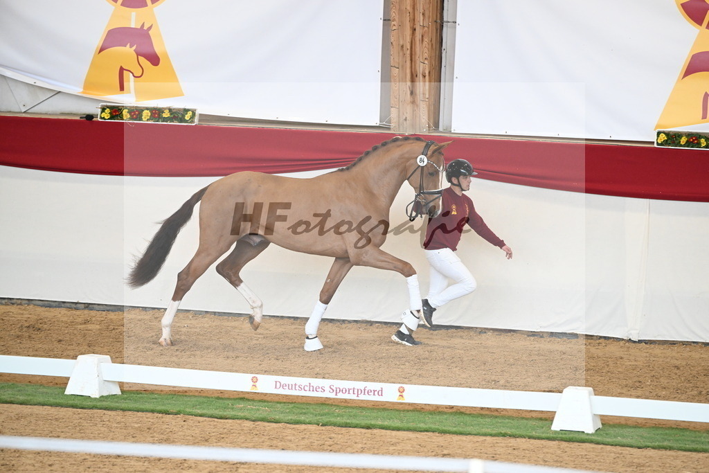 Kat.-Nr. 84 v. Vaderland_van den Oetelaar_2250797 | hf-fotografie - Realisiert mit Pictrs.com