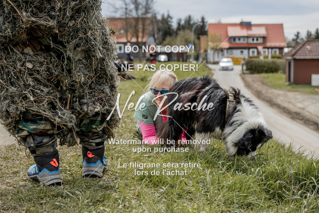 NR__2555 | nelerasche