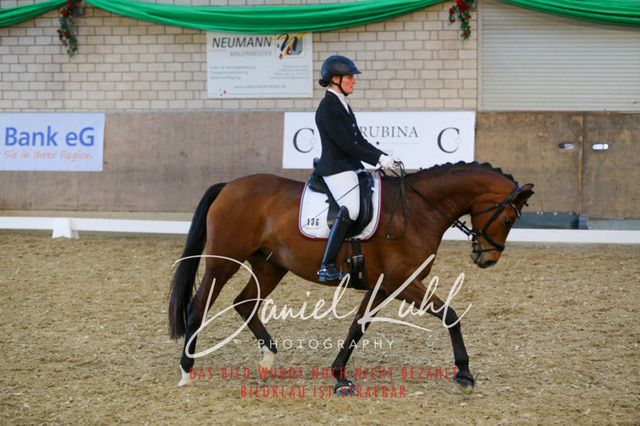 IMG_2971 | Turnierfotos kaufen im Webshop von Daniel Kuhl Photography – entdecke professionelle Reitsportfotos aus Turnieren & Events. Hochwertige Turnierbilder online bestellen & sichern. Jetzt Fotos von Reitsportturnieren kaufen!