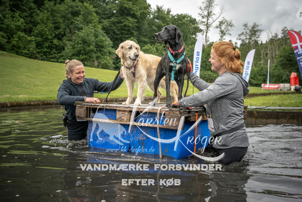1014_ZZ95356 | kk-dogfotos