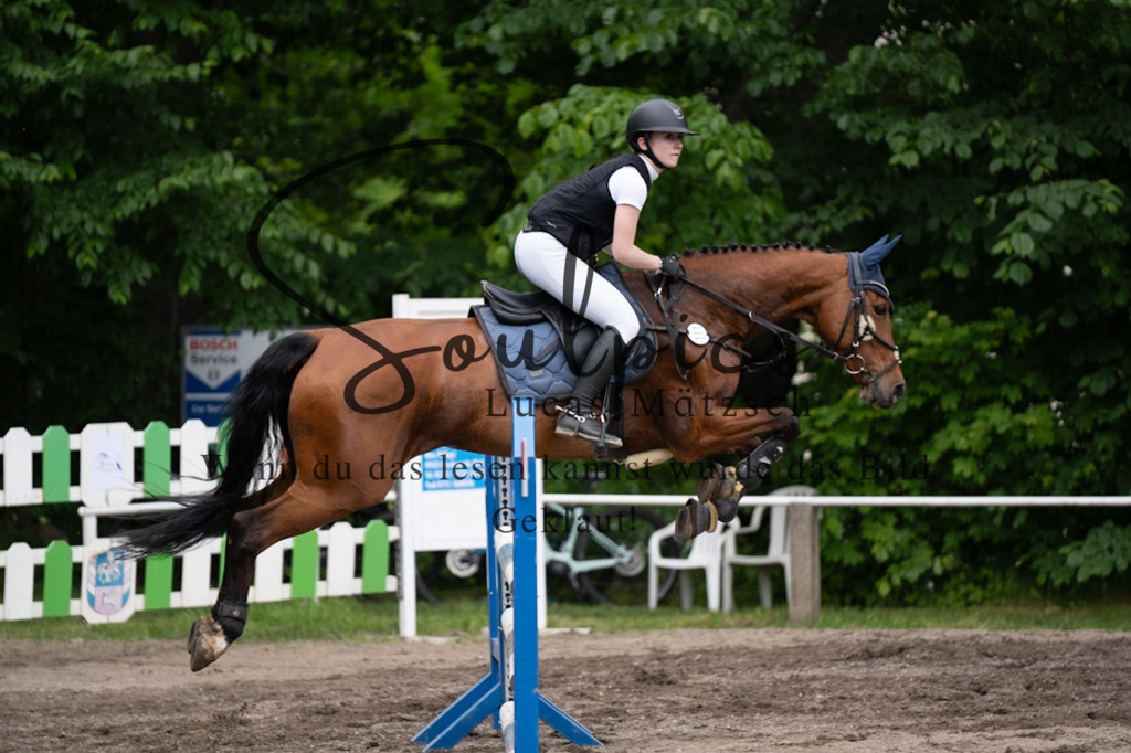 A7V04897 | Pferdefotograf