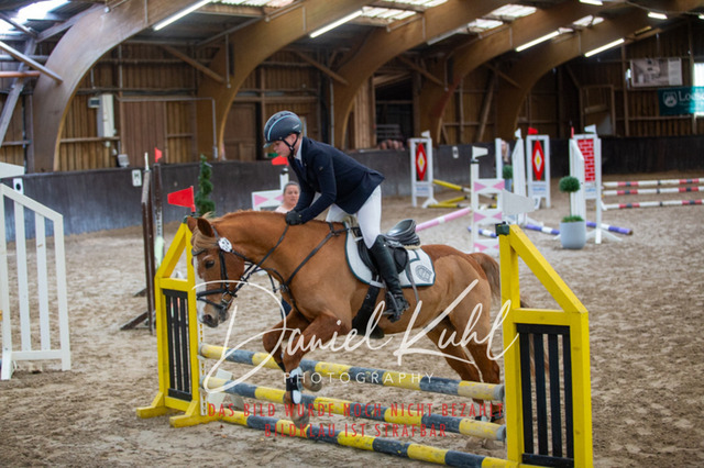 IMG_1769 | Turniersportfotografie; Pferdefotografie; Dressurfotografie