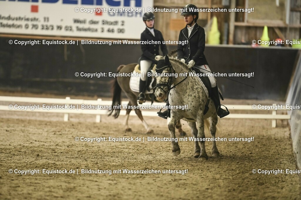 20231029_04_Dressur-WB_0365 | Foto: Thomas Hartig