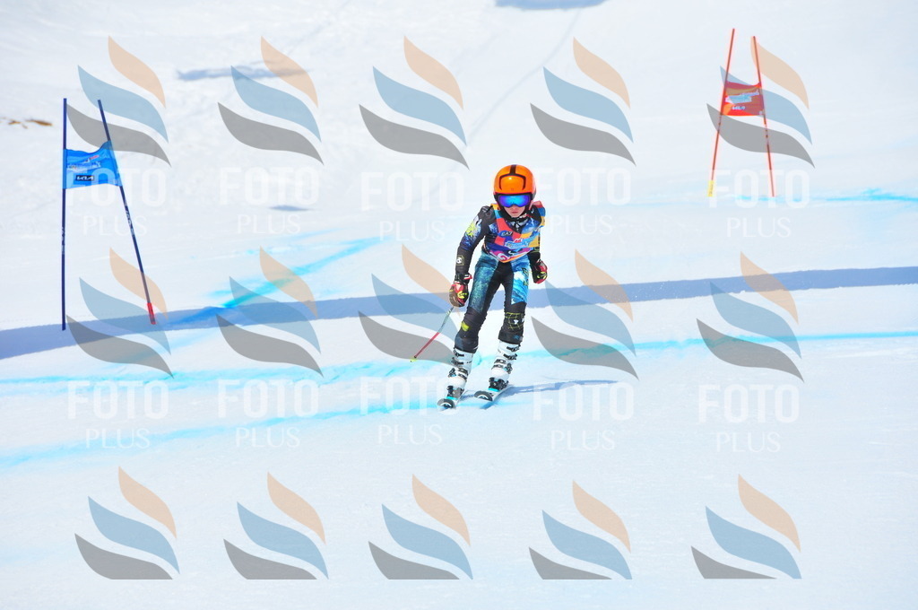 DSC_6973 | holidayphoto