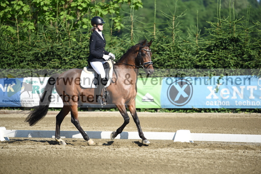 DSC_7158 | equestrian-live-com