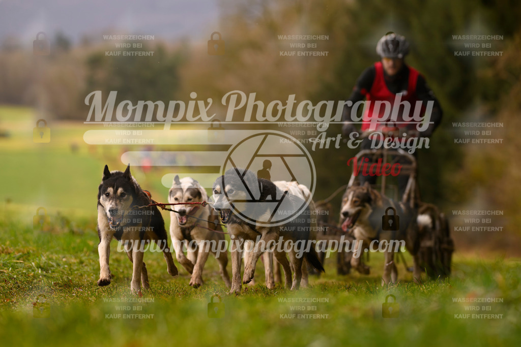 MompixPhotography_2SSTSSBW_2025_SO_Kart-44 | PayLife