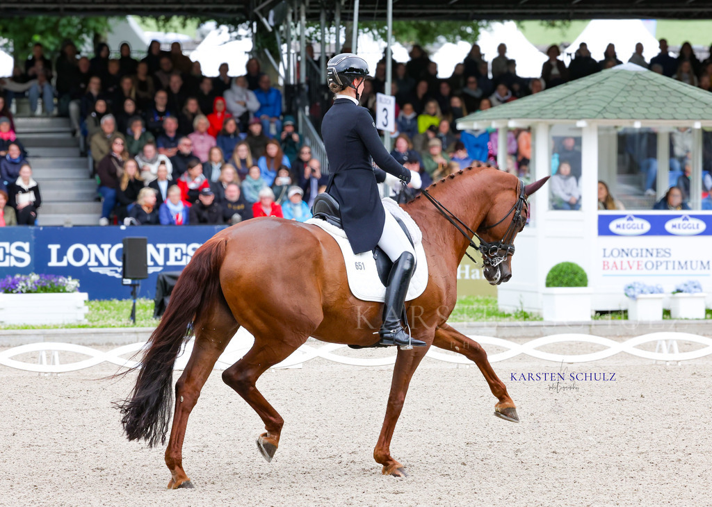 1B3A7486 | Reitsport Reiten