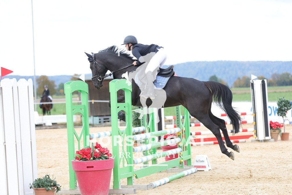 0P6A9382 | Willkommen bei Brunnmayr - Design & Fotografie – Ihrem Spezialisten für Reitturniere und Pferdeveranstaltungen in Oberösterreich, Salzburg und Bayern! Seit über 17 Jahren sind wir leidenschaftlich dabei.