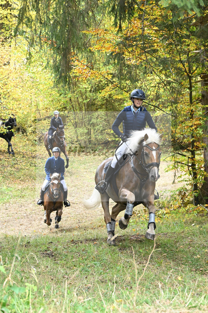 5622680 | hf-fotografie - Realisiert mit Pictrs.com