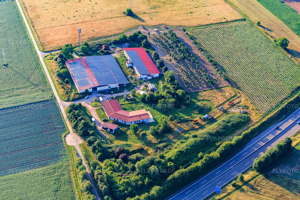 Luftbild: Geflügelhof Familie Schönung in Erlenbach bei Kandel im Bundesland Rheinland-Pfalz in Deutschland. Foto: IMG_148346.jpg vom 17.06.2025 durch Werner Riehm/FLY-FOTO.deWWW.FACEBOOK.COM