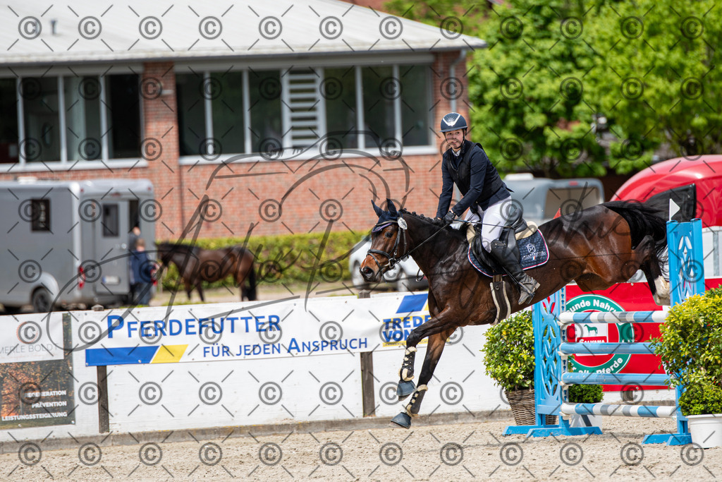 KPT_5627 | andre_photographic